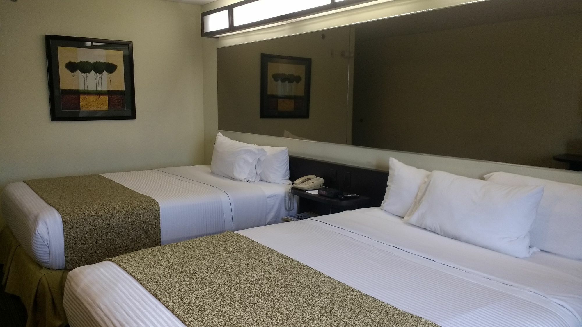 Microtel Inn And Suites By Wyndham Толука Екстер'єр фото